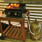 Mobil-home 2 Chambres avec terrasse en bois semi-couverte et plancha gaz*