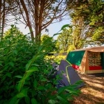 Emplacement camping, tente, caravane, camping-car - Camping Parc naturel régional de Brière