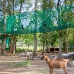 La Brière enchantée