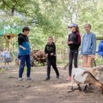 Animaux de la ferme