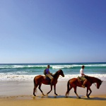 Image de votre camping Loire Atlantique