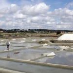 Terre de Sel