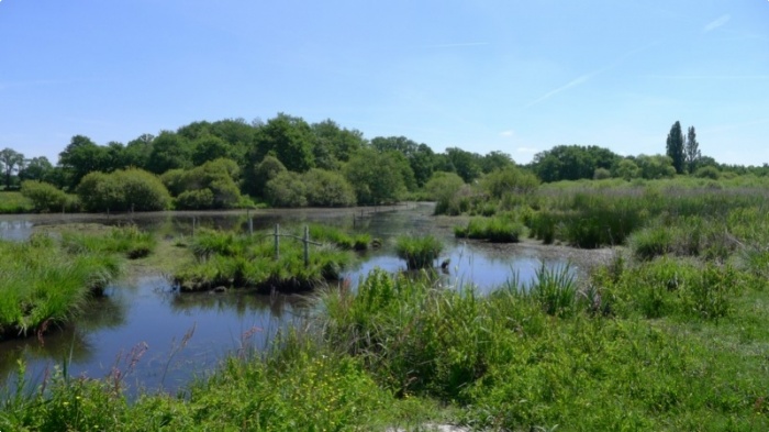 Parc naturel de la Bri&egrave;re
