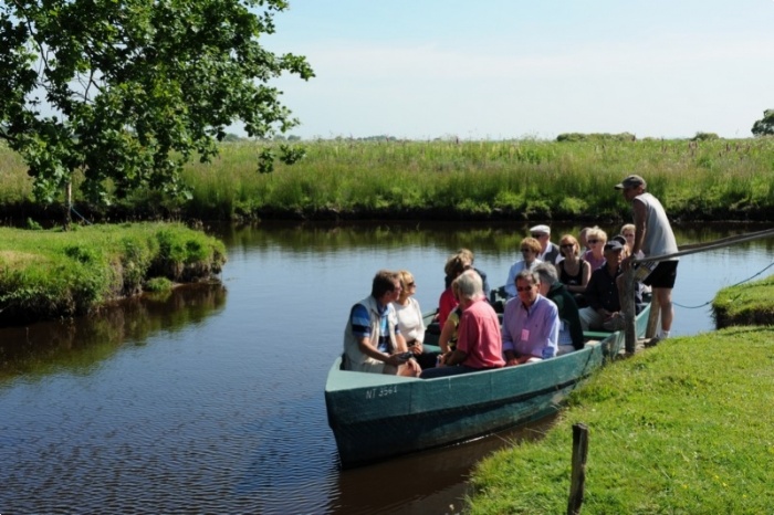 La visite du Parc naturel de la Brière en embarcation