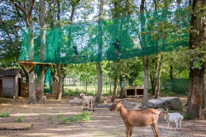 La Bri&egrave;re enchant&eacute;e