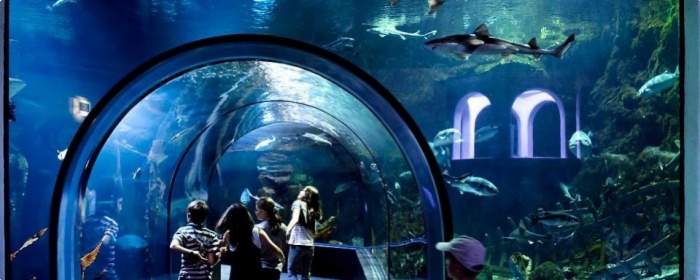 Oc&eacute;arium du Croisic