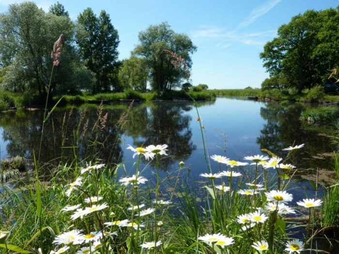 Le parc naturel de la Bri&egrave;re