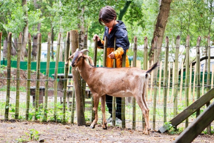 La Brière enchantée