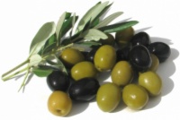 Vente d'olives